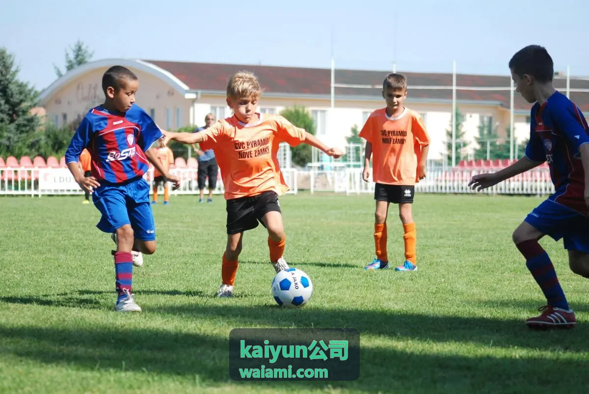 kaiyun公司智能数据引擎经营看板
